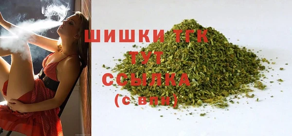 стафф Вязьма